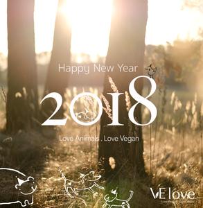 Say bye to 2017 and welcome 2018!