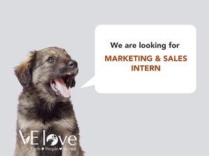 Marketing & Sales Intern